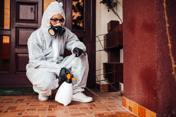 Reliable Bed Bug Control contractor in Keansburg, NJ by Nex Pest Control