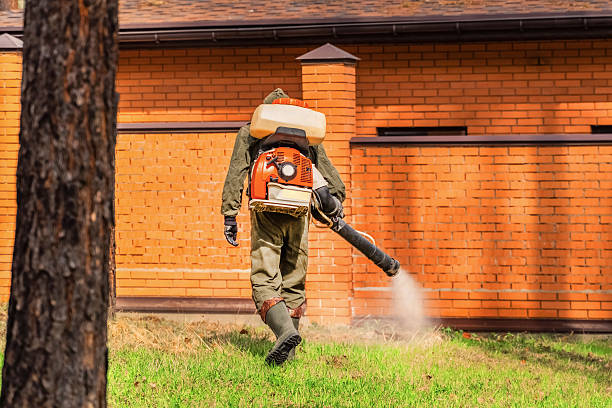 Trusted Termite Control service in Keansburg, NJ - Nex Pest Control